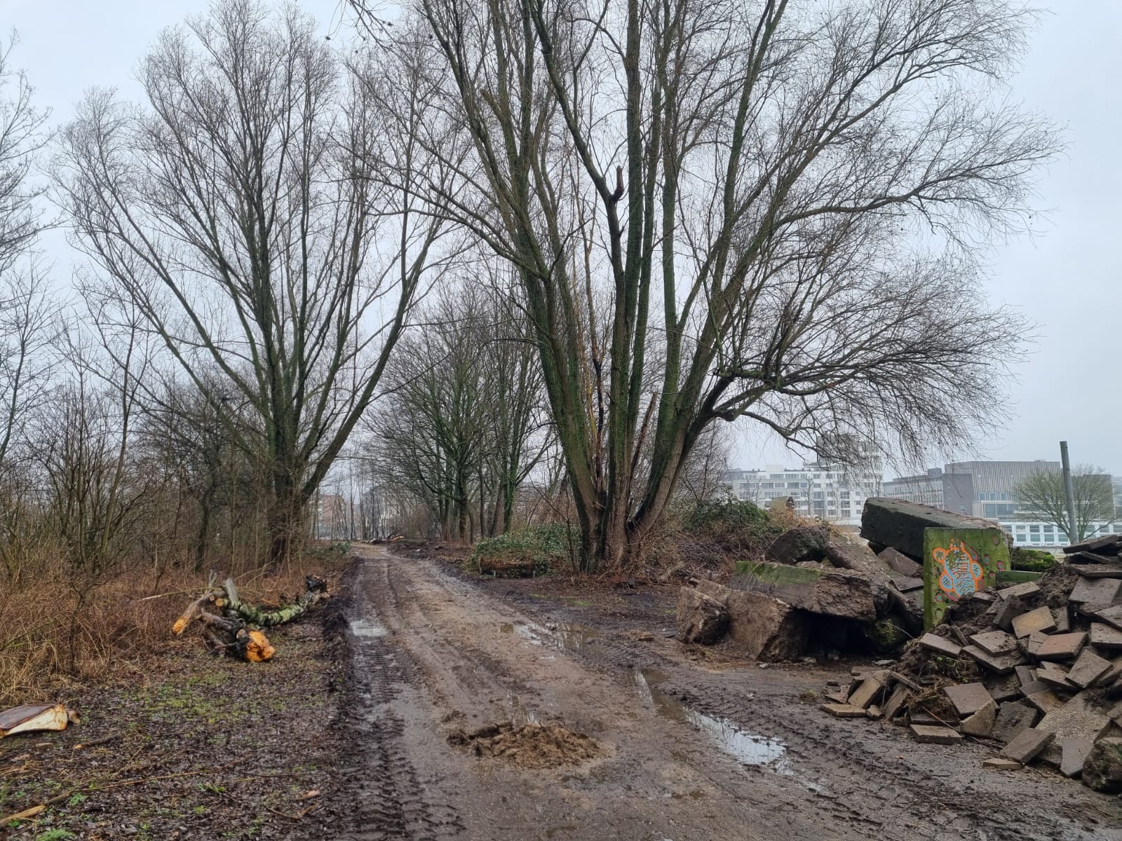 Voorbereiding bouw Stadsblokken